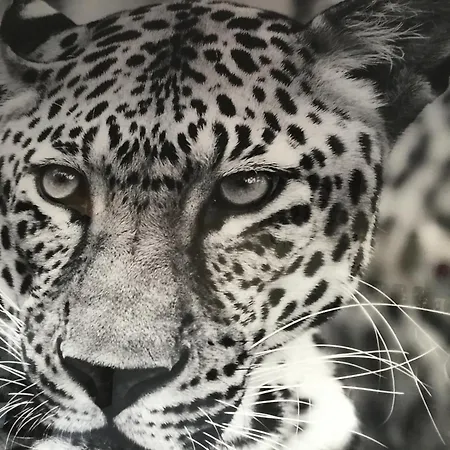 Sole E Luna شقة *